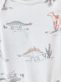 Purely Soft by Carter's Ecovero Dinosaur Set (0M)