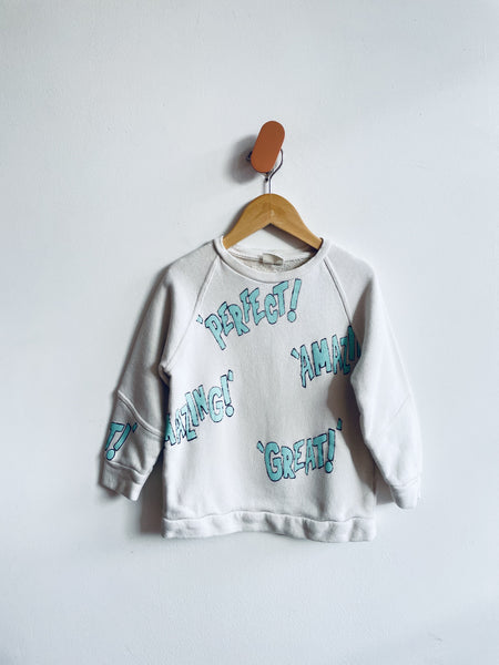Zar Perfect, Amazing, Great Sweatshirt (3-4Y)