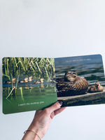 Swim, Duck, Swim! Book // O/S
