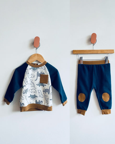 Petit Lem Dinosaur Set (9M)