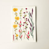 Delicate Flowers - Temporary Tattoos