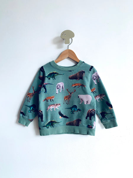 H&M Dino’s & Animals Sweatshirt (5Y)