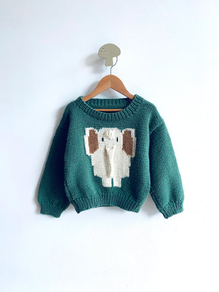 Handmade Elephant Sweater (4-5Y)